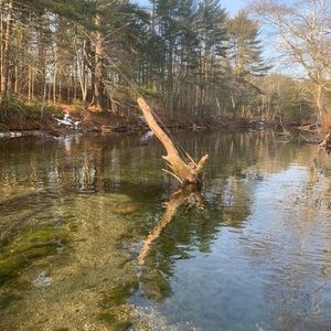 Meet your Posher, Bill